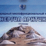 Инвестиции в  Энергию Арктики  составят 2 трлн рублей - Info83.Ru