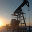 Россия увеличит нефтедобычу в Арктике - Новости НАО