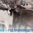 god olenevodstva - Info83.Ru