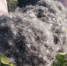 ufu - Info83.Ru