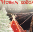 С Новым годом! - Центр арктического туризма