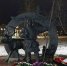 20 ноября - День памяти участников оленно-транспортных батальонов в Великой Отечественной войне - Собрание депутатов