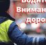 Основная причина ДТП – невнимательность водителей - ГИБДД