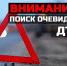 Окружная Госавтоинспекция ищет очевидцев ДТП - ГИБДД