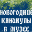 Новогодние каникулы в Ненецком краеведческом музее - Центр арктического туризма