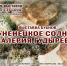 Выставка бубнов "Ненецкое солнце Валерия Гудырева" - Центр арктического туризма