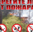 0307-3-1024x819 - ГБУ СОН НАО КЦСО