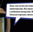 На всю катушку! - Газета Северные ведомости
