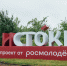 ​Молодёжь НАО приглашают к участию в историко-патриотическом форуме «Истоки» - Департамент образования, культуры и спорта