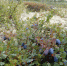 news_2023.08.17_0_01 - Этнокультурный центр