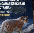 Всероссийский конкурс «Самая красивая страна» стартовал! - Центр арктического туризма