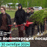 ​Волонтёры и экологисты в регионах могут получить премию за помощь в восстановлении лесов - Департамент природных ресурсов, экологии и АПК