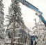 Помощь лесу - Газета Северные ведомости
