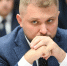 Мы все выбрали путь борьбы за Родину, ‒ Чернышов - ЛДПР