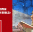 2-19 - КПРФ НАО