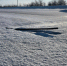 img - ЛДПР